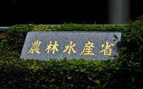 【コメ高騰】農林水産省、備蓄米の条件付き売り出しへ