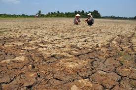 バ◯「食料自給率は高いほどいい」　経済学者「低ければ低いほどいい」
