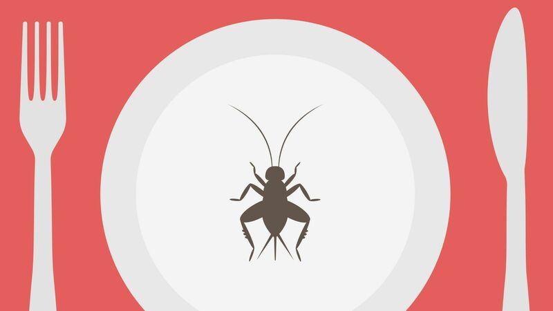 再）【×食べ物／コオロギ】学校給食にコオロギだしていた会社閉店しました