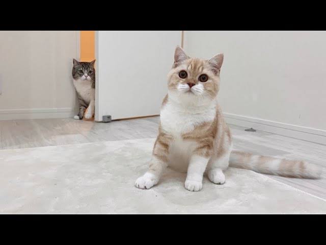 【悲報】もちまる日記、ついに週刊誌に目を付けられるWWWW