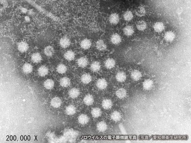 【子供】小児科「悲願」のワクチン承認   RSウイルス、妊婦に接種し赤ちゃん守る