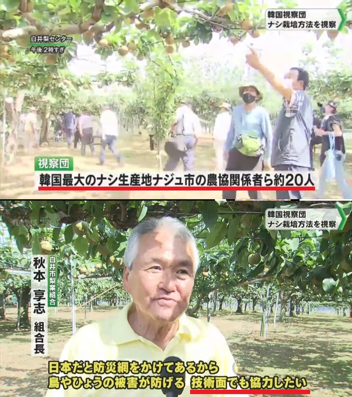 【動画】　日本の農家さん　韓国に「ナシの栽培技術」を提供　なぜ？！