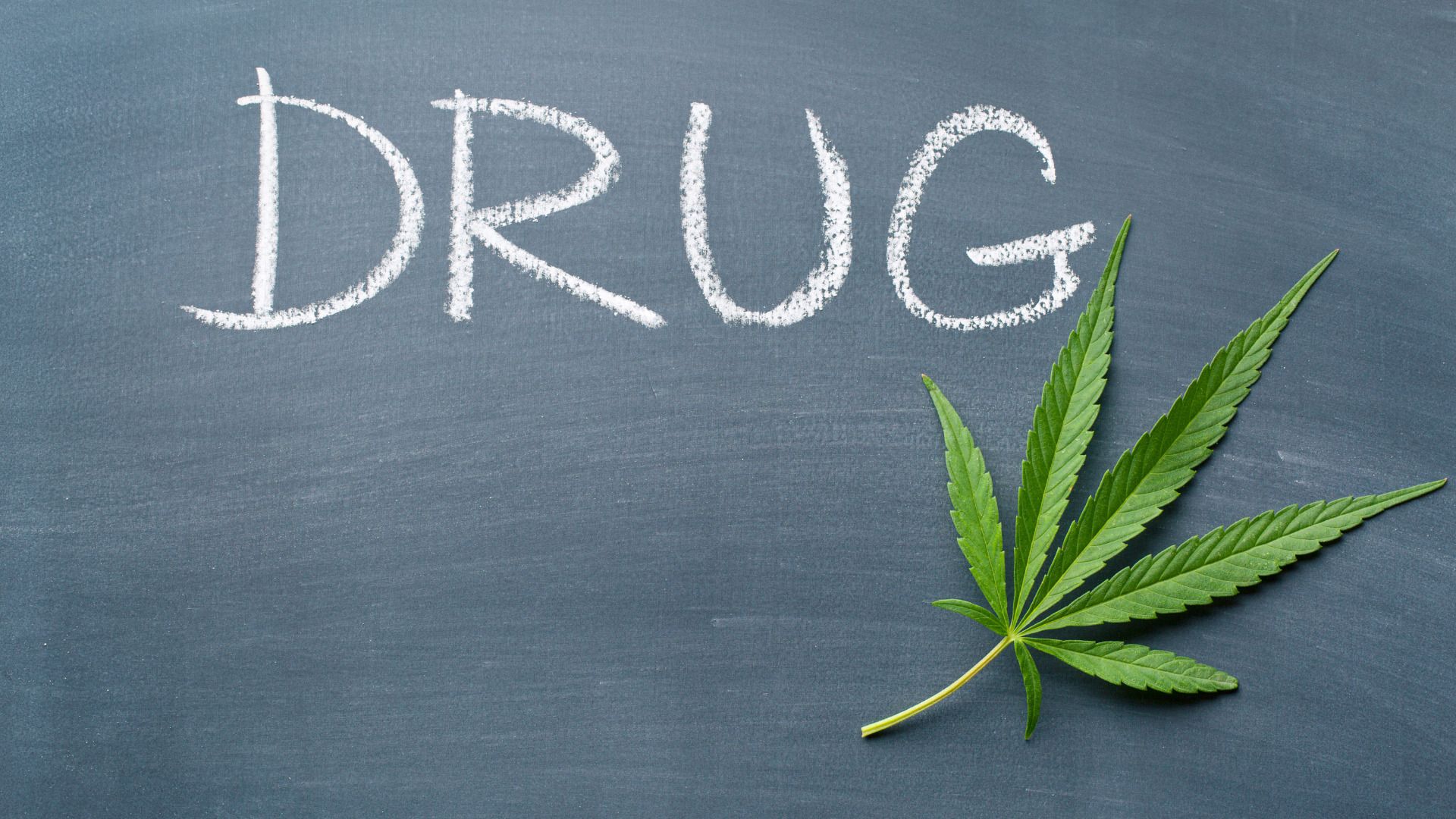 【正論】大麻の「使用罪」創設は世界の流れに逆行　厳罰化は犯罪組織を潤わせる？　禁酒法の教訓