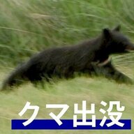 【（・(ｪ)・）】草むらから飛び出してきた子グマと自転車がぶつかる　60代男性が転倒して大けが　自ら警察に通報　秋田・五城目町
