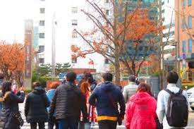 【韓国】「外見こそが競争力」という主張について、20代男性が95％、女性は100％が同意