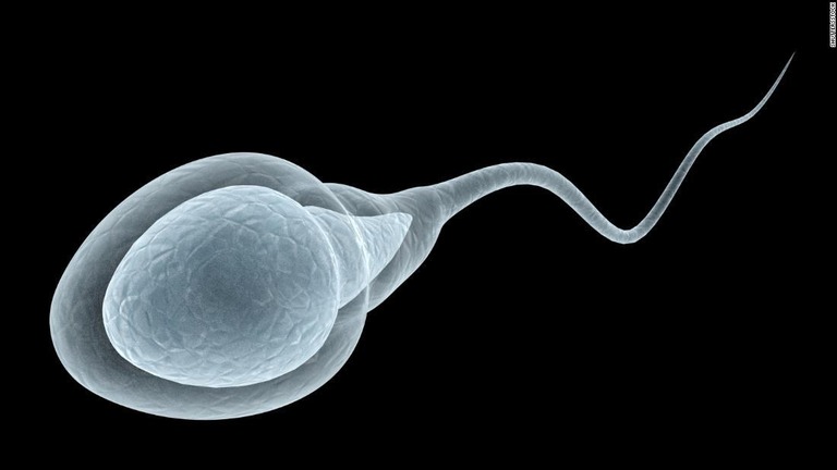 精子にダメージを与える「NG習慣」10選　2～3日に1回は自慰行為をしないと、古い精子が溜まる