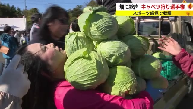 【野菜高騰】キャベツが高いけど「逆に安い野菜」もあるのでは？ 業界関係者に聞いてみたら→「安くなっている野菜は1つもありません」