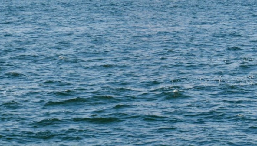 【神奈川】海に落ちた飼い犬追って岸壁から飛び込む　横須賀海保が４０代男性を救助　犬も無事　帰宅準備でリード外す