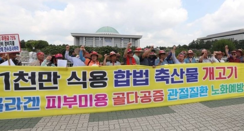 【韓国】韓国「犬肉禁止法」が国会本会議で可決…反対は一票もなし