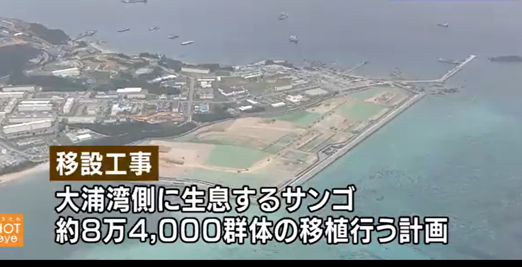 大浦湾側での工事 防衛局“サンゴの生息環境に影響与えず”｜NHK 沖縄