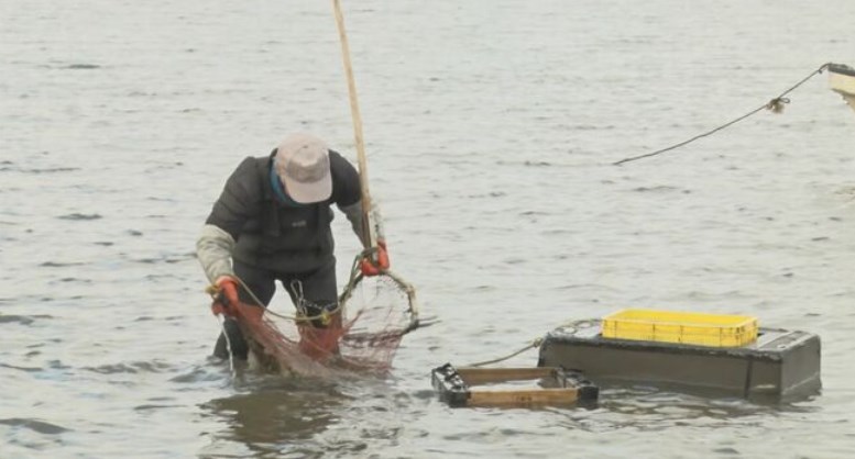 【湖が沼になる…】半世紀で水深が4m→1.5ｍに　原因は「富栄養化」いったい何が起こっている？