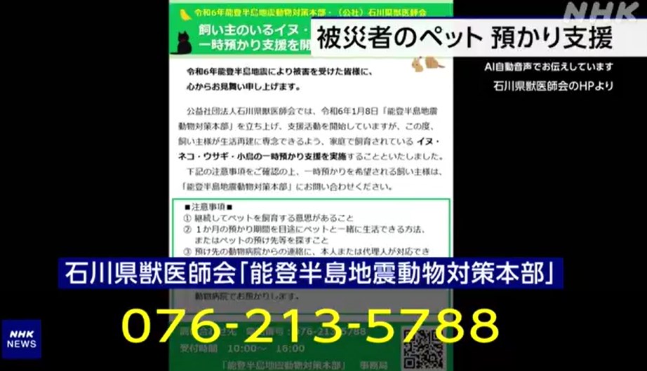 【能登半島地震】避難者のペット無料預かり支援始まる 石川