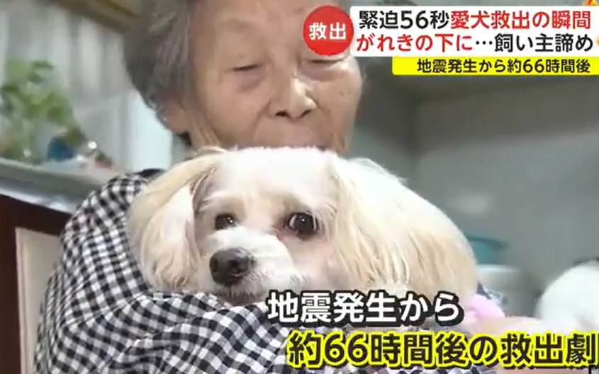 【能登地震】救出の瞬間映像「生きてる!」かすかな鳴き声頼りにがれきの下から愛犬を救出「宝物です」被災のおばあちゃん笑顔に