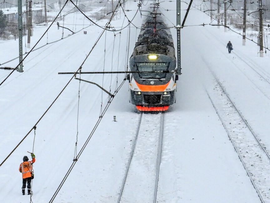 「飼い猫」強制下車　極寒で絶命、鉄道に批判　ロシア