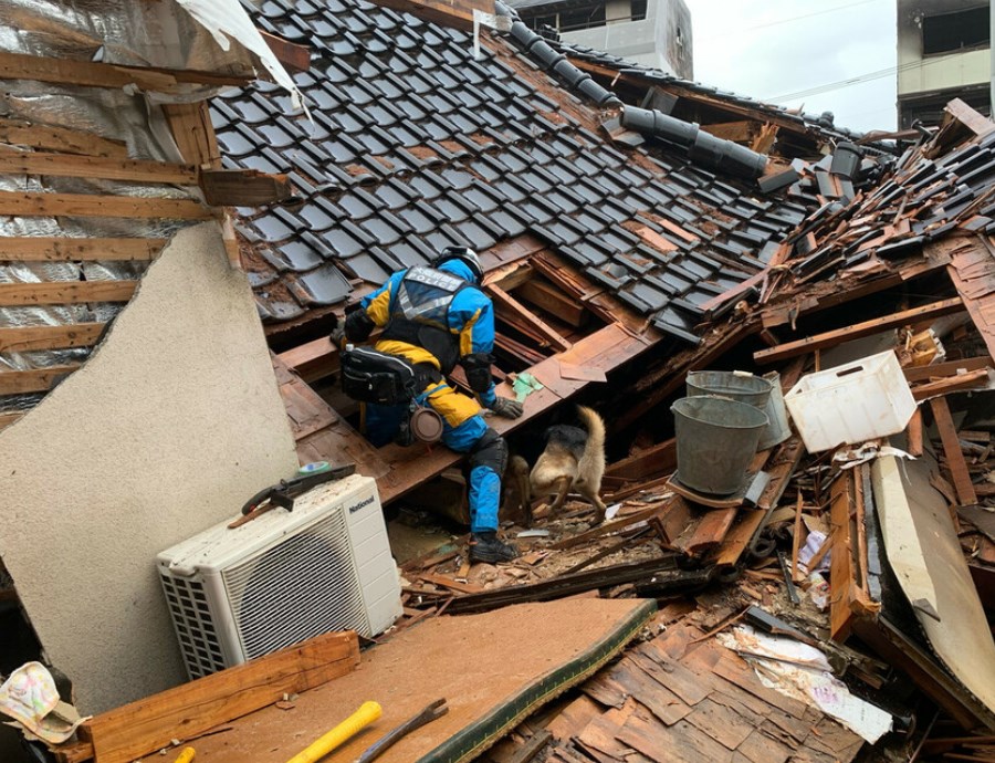 【能登地震】倒壊家屋、足止めた警備犬　心肺停止の被災者伝える