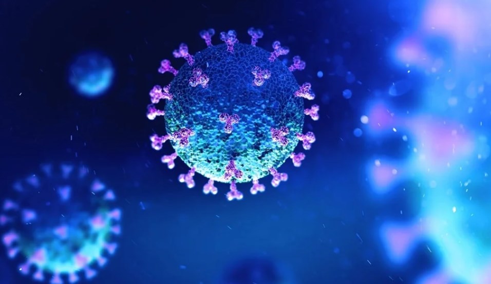 【新型コロナウイルス感染症の目に見えない影響】32か国で在宅死亡が急増していることが調査で判明
