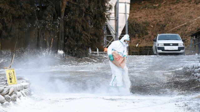 【鳥インフル】岐阜県内の養鶏場で鳥インフル、食肉用の鶏５万羽殺処分へ…全国で今季６例目の感染確認