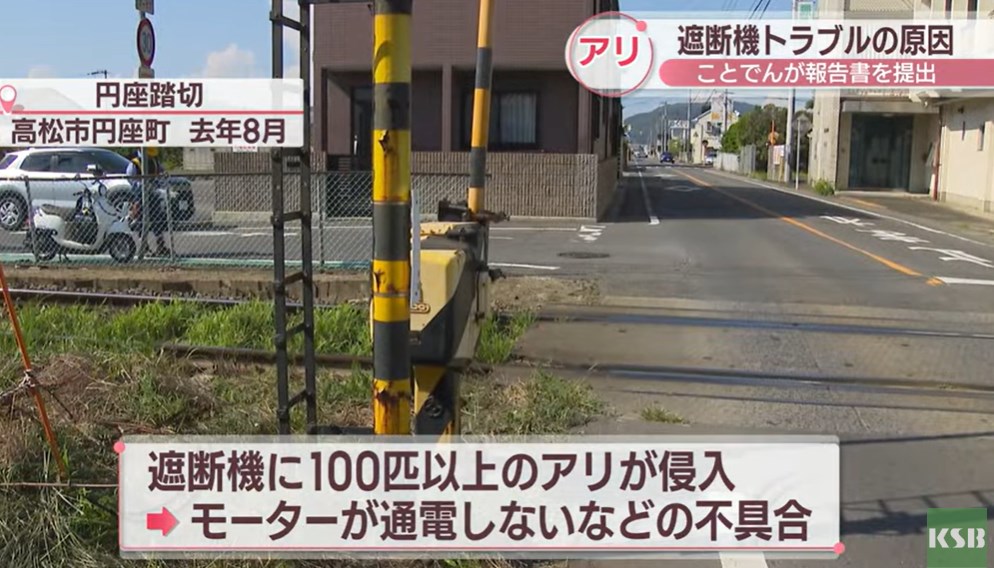 【インシデント】踏切の遮断機トラブルの原因は100匹以上の「アリ」　ことでんが四国運輸局に報告書を提出