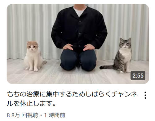 【YouTube】猫の腎臓病の原因は飼い主？　人間用の缶詰をあげる、炭酸水を飲ませる…もちまる日記に批判の声