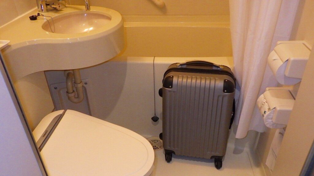 【害虫駆除のプロが実践】旅行先でのトコジラミ対策！4つのことと帰宅時に家に持ち込まない駆除方法