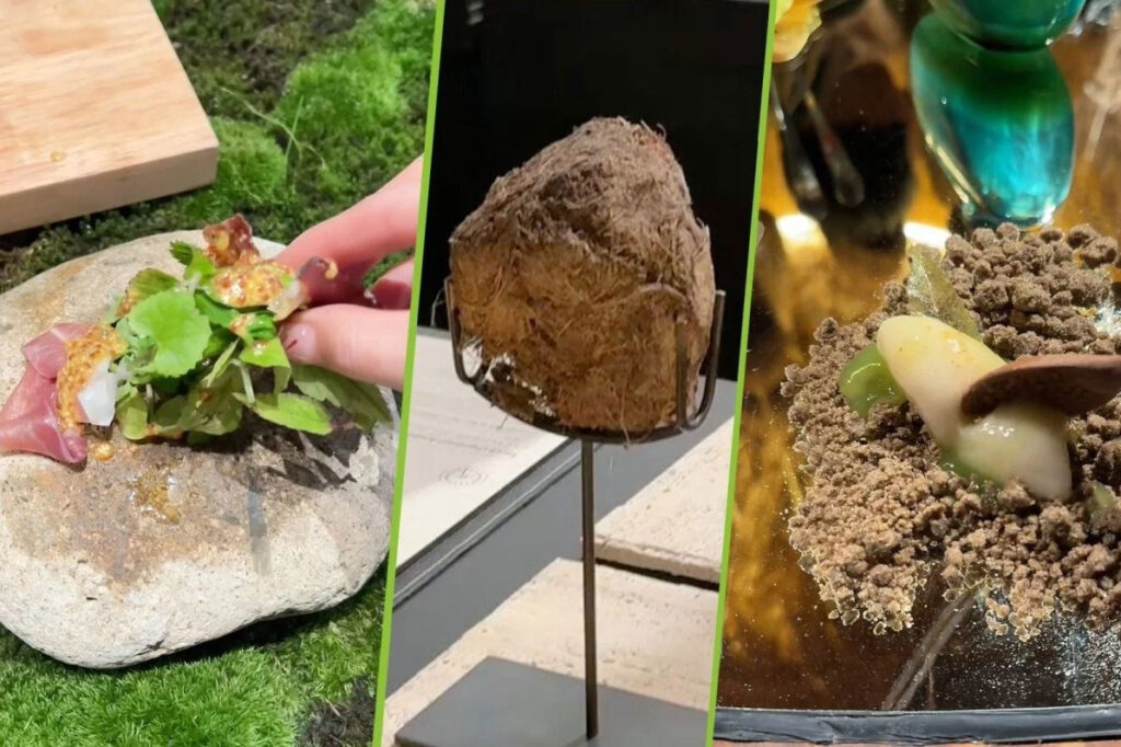 【社会】7万5000円コース料理のデザートに「ゾウの排せつ物」を提供、上海の高級レストランが営業停止に