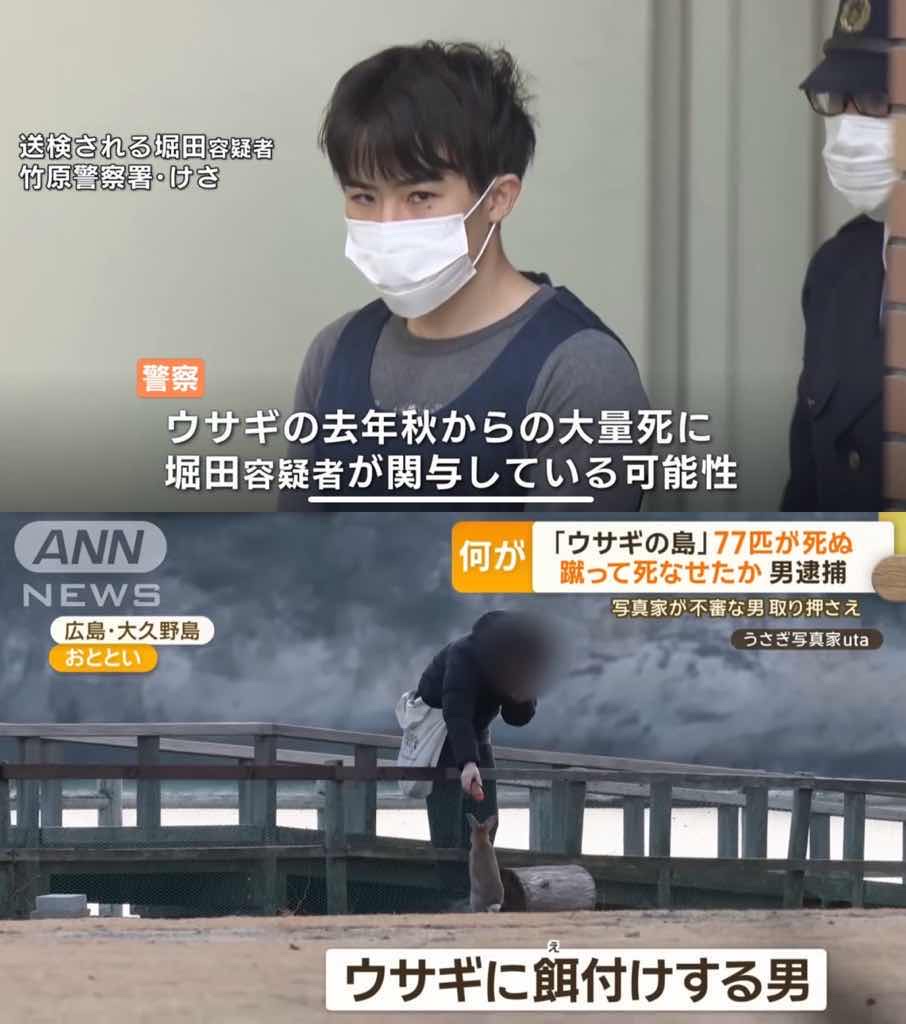 男が発狂　うさぎ77匹を蹴り殺したチー牛男　懲役1年執行猶予3年の判決（画像あり）