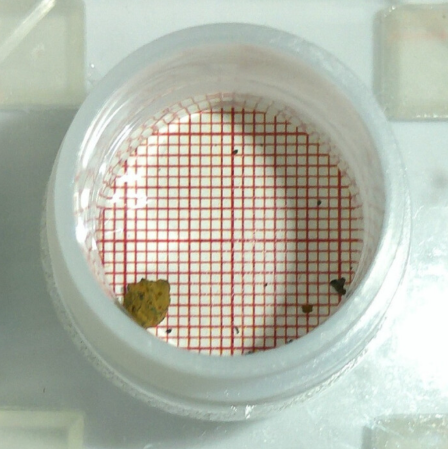 福島第１原発２号機から２回目のデブリ取り出し………………………………重さ０．２グラム