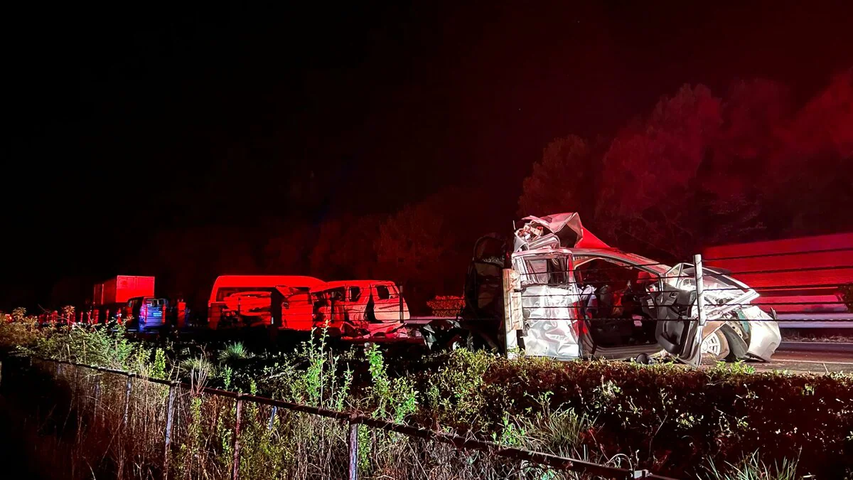 【栃木】東北自動車道上り線の逆走車による多重事故で2人意識不明　那須ICから黒磯板室ICの間　ほかにけが人複数