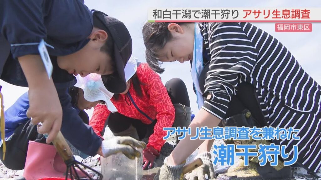 【福岡】「全然採れない・・・」和白干潟でアサリの生息調査を兼ねた潮干狩りイベント