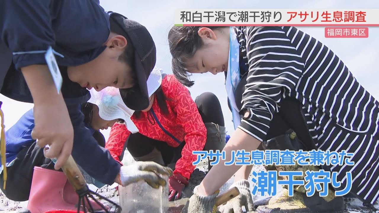 【福岡】「全然採れない・・・」和白干潟でアサリの生息調査を兼ねた潮干狩りイベント