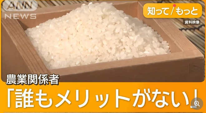【アメリカ産コメ輸入拡大案に農家から反対の声が噴出】令和の百姓一揆実行委員会事務局長 「日本の農家も日本の国民も、誰もメリットがない」
