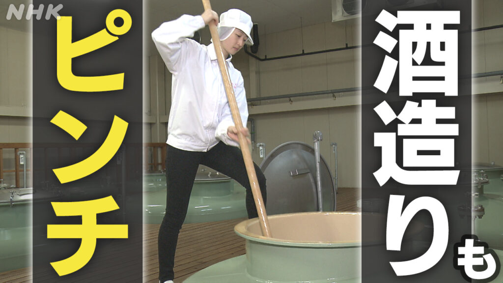 “令和の米騒動”で酒造りがピンチに…