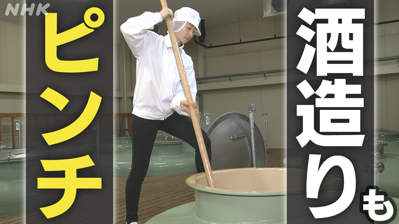 “令和の米騒動”で酒造りがピンチに…