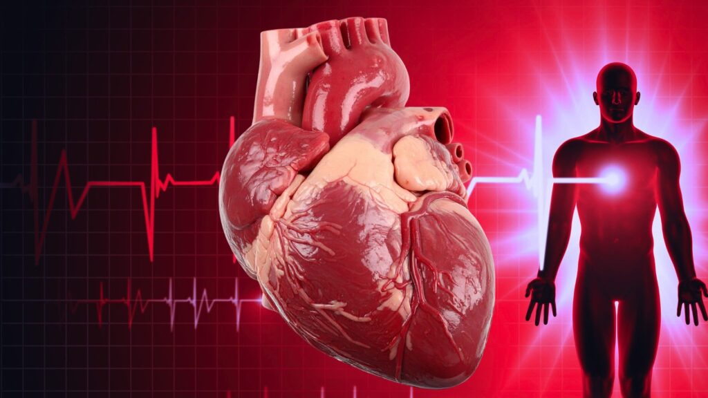 【フィンランド・タンペレ大学研究】心筋梗塞（心臓発作）の原因はウイルス感染の可能性