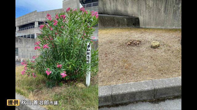 【宮城】「何とお詫びしてよいか」被爆地・広島から寄贈された平和祈念のキョウチクトウを誤って伐採 祈念植樹の標柱も一時撤去 　気仙沼