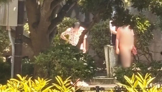 公園で全裸、民家の敷地で排泄「スラムダンク聖地」に訪日客殺到　中国の大型連休前に対策求める声