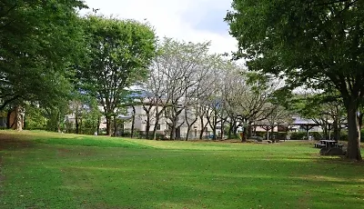 【長野】「憩いの公園」削ってまで美術館作るの？　中野市の計画案に市民から反対の声