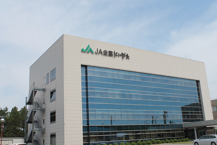 【コメが集まらない】JA全農にいがた、25年産米の概算金を3000円追加払い　各銘柄で