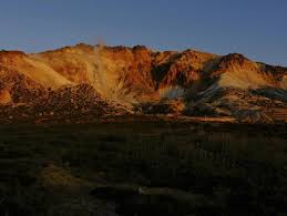 【北海道】「ヒグマに襲われたかも」と一時捜索されたハンター、猟銃を山林に放置した疑いで逮捕