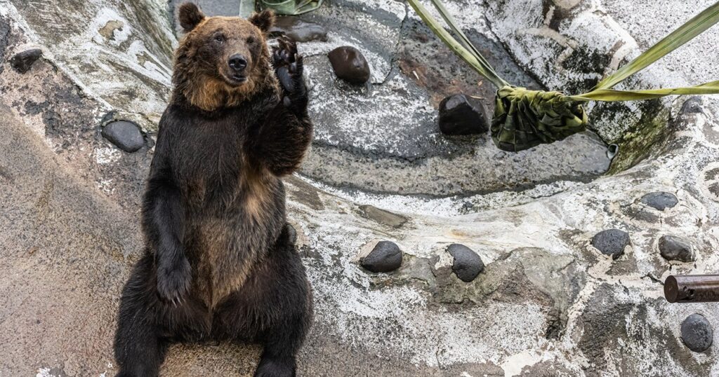 「昔、クマにおにぎりをあげた」と謎に自慢げな上司を一発で黙らせる“感じのいい一言”とは？　(コラムニスト)