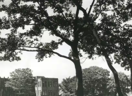 【臣籍降下】世間はこんなにおいしいものを…「平民」になり切符の買い方知る　食堂で料理の注文初体験