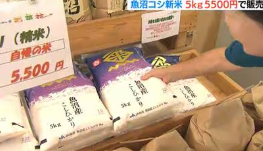 【甘くて、とてもおいしかった】５キロで税込み５５００円、魚沼産コシヒカリの試食販売・・・新米を買った三重県に住む３０代の女性 「値上がりしていますが、それでも買いたいと思う味でした」
