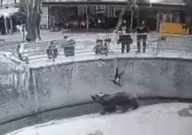 動物園でクマの囲いの中に娘を投げ込んだ母親、3年後に同じ娘を刺殺