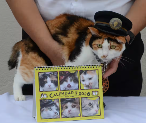 【歴代ネコ駅長が登場】和歌山電鉄、来年版の卓上カレンダー販売開始　「つぶやき」も掲載