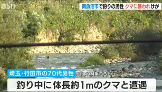 【（・(ｪ)・）】「茂みから突然クマが…」　川で釣りをしていた埼玉県の70代男性がクマに襲われけが　新潟・南魚沼市