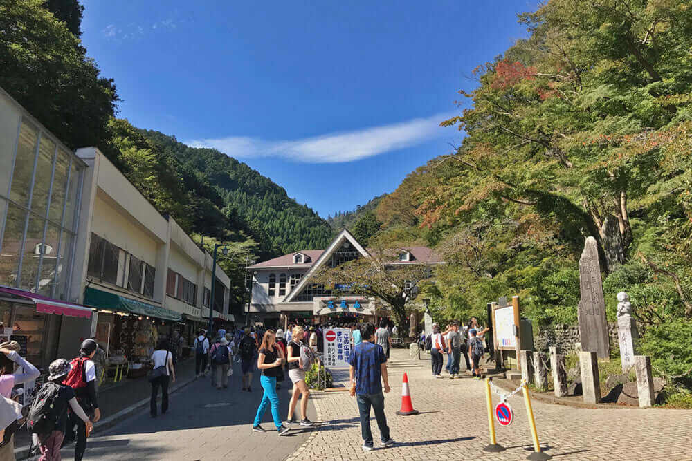 年間300万人訪れる高尾山でも出没…東京都が公表する｢くまっぷ｣でわかる目撃情報多数の要注意エリア　世界的にも珍しいクマ生息の首都