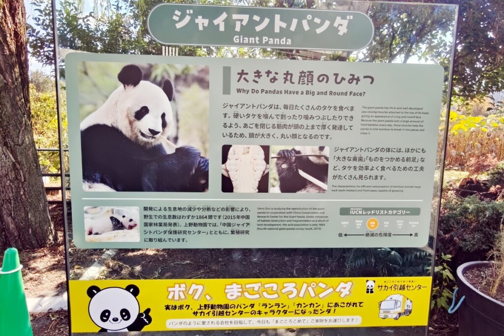 日本からもうすぐパンダがいなくなる＝中国ネット「日本にはクマがいるでしょ」