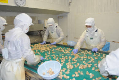 シナ｢日本の水産物輸入停止だ！｣　日本｢じゃあ東南アジアに売るわ｣　シナ｢｣