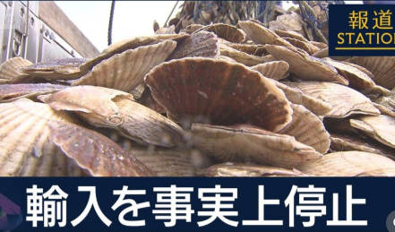 中国さん、高市のせいでホタテ6ｔ（トン）ご返品へww