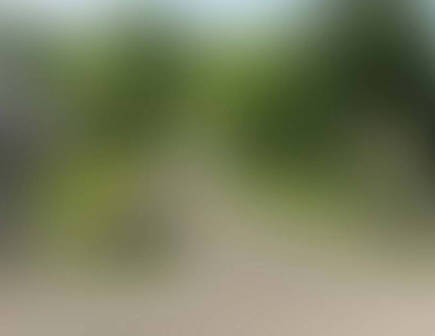 母親「小3息子のお〇りにチン〇ンを挿入れようとした男と3年間文通しました」